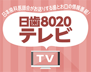 日歯8020テレビ